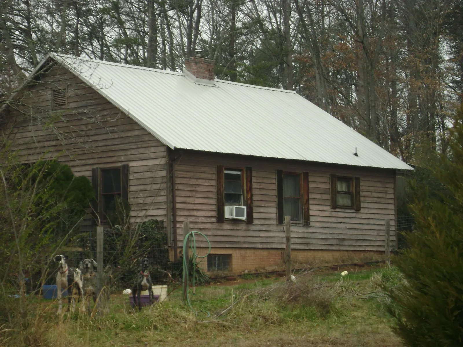 White metal roof on an old wood sided farmhouse, from a Asphalt Shingle Roof Repair job in Athena